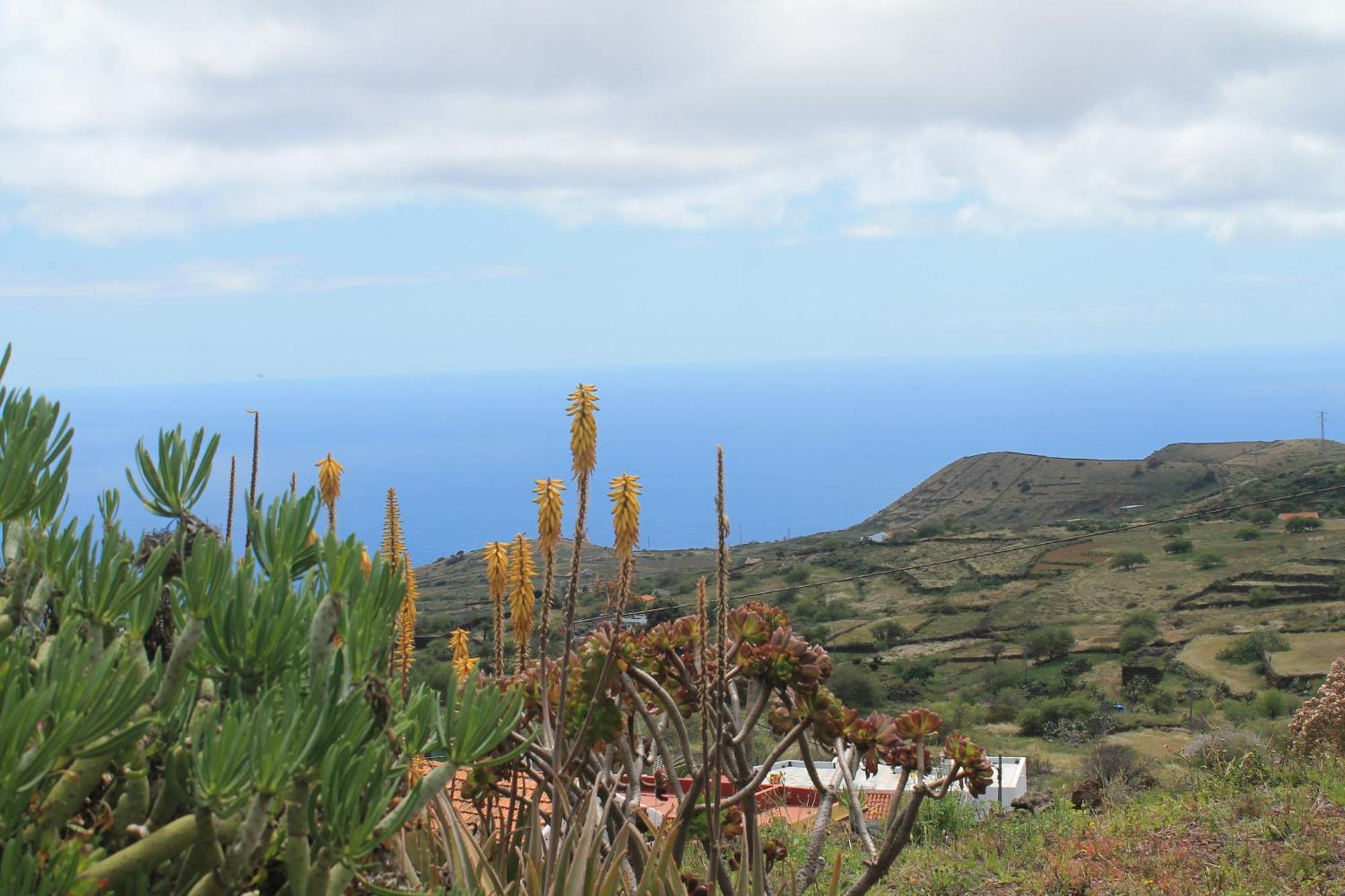 Casa Los Abuelos El Pinar  Eksteriør billede